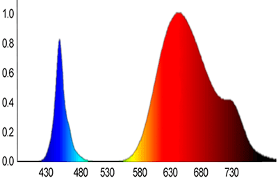 espectro-1-c.jpg