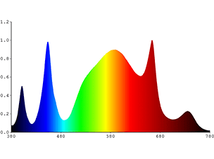 espectro-p71-c.jpg