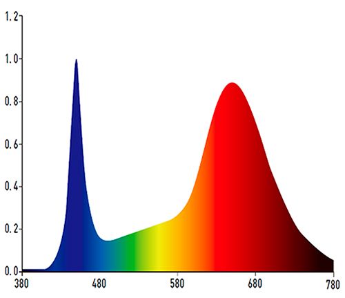 espectro-2-c.jpg