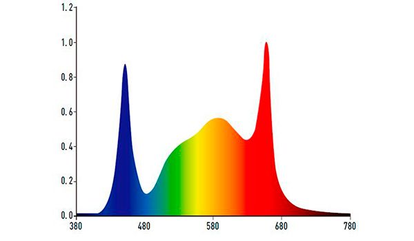 espectro-p07g-c.jpg