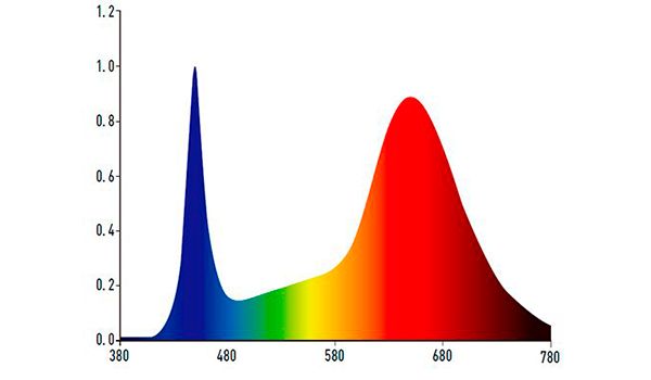 espectro-p11g-c.jpg