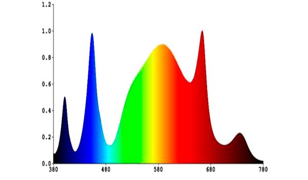 espectro-p71g-c.jpg