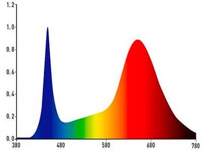 espectro-p11-d-c.jpg