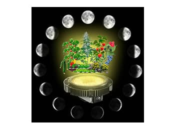 Frutos resultantes de cultivos iluminados por un foco LED Venalsol y las diferentes fases lunares.