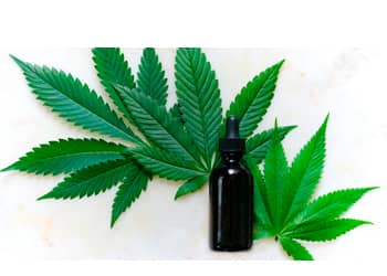 Aceite de CBD y hojas de cannabis