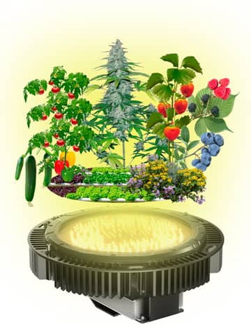 Cultivos y plantas creciendo gracias al foco LED de cultivo Venalsol