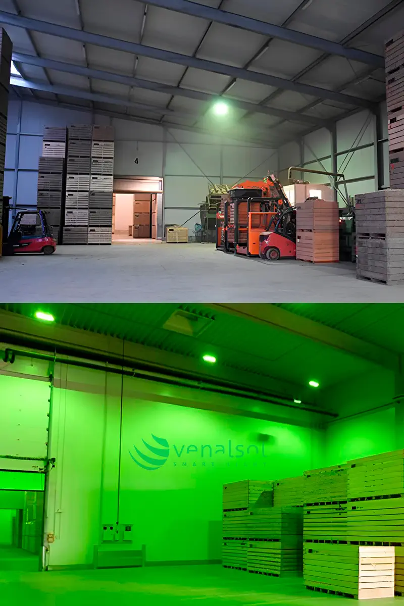Illuminazione LED verde in un magazzino di patate per evitare la solanina