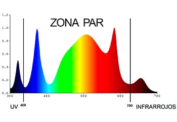 Radiación fotosintéticamente activa (PAR) de un espectro de color