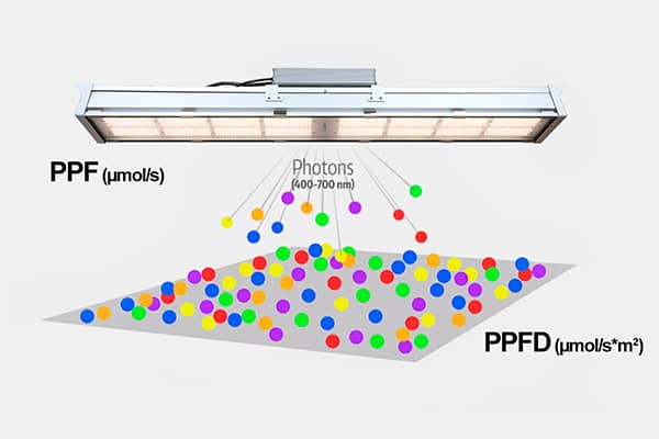 Foco LED AGRO-K emitiendo fotones