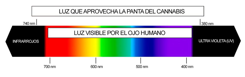 espectro-c.jpg