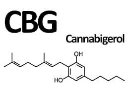 CBG (cannabigerol)