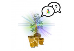 ¿Qué luz LED beneficia al cannabis?