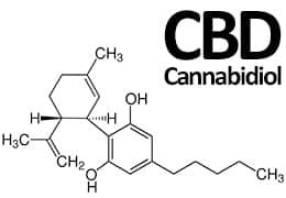 CBD (cannabidiol)