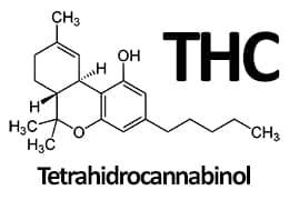 THC (tetrahidrocannabinol)